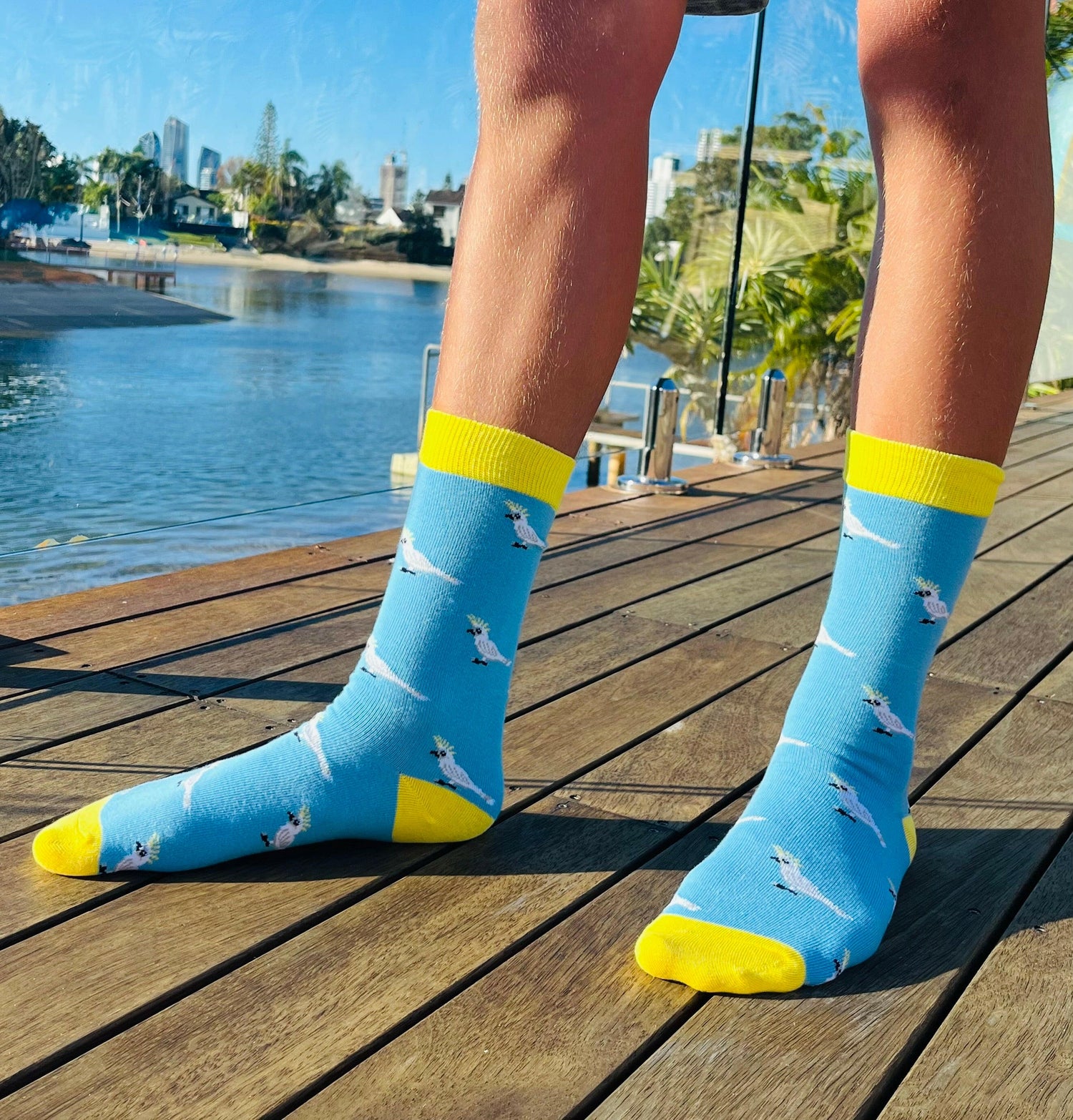 ‘Cocky’ Socks - OzSox
