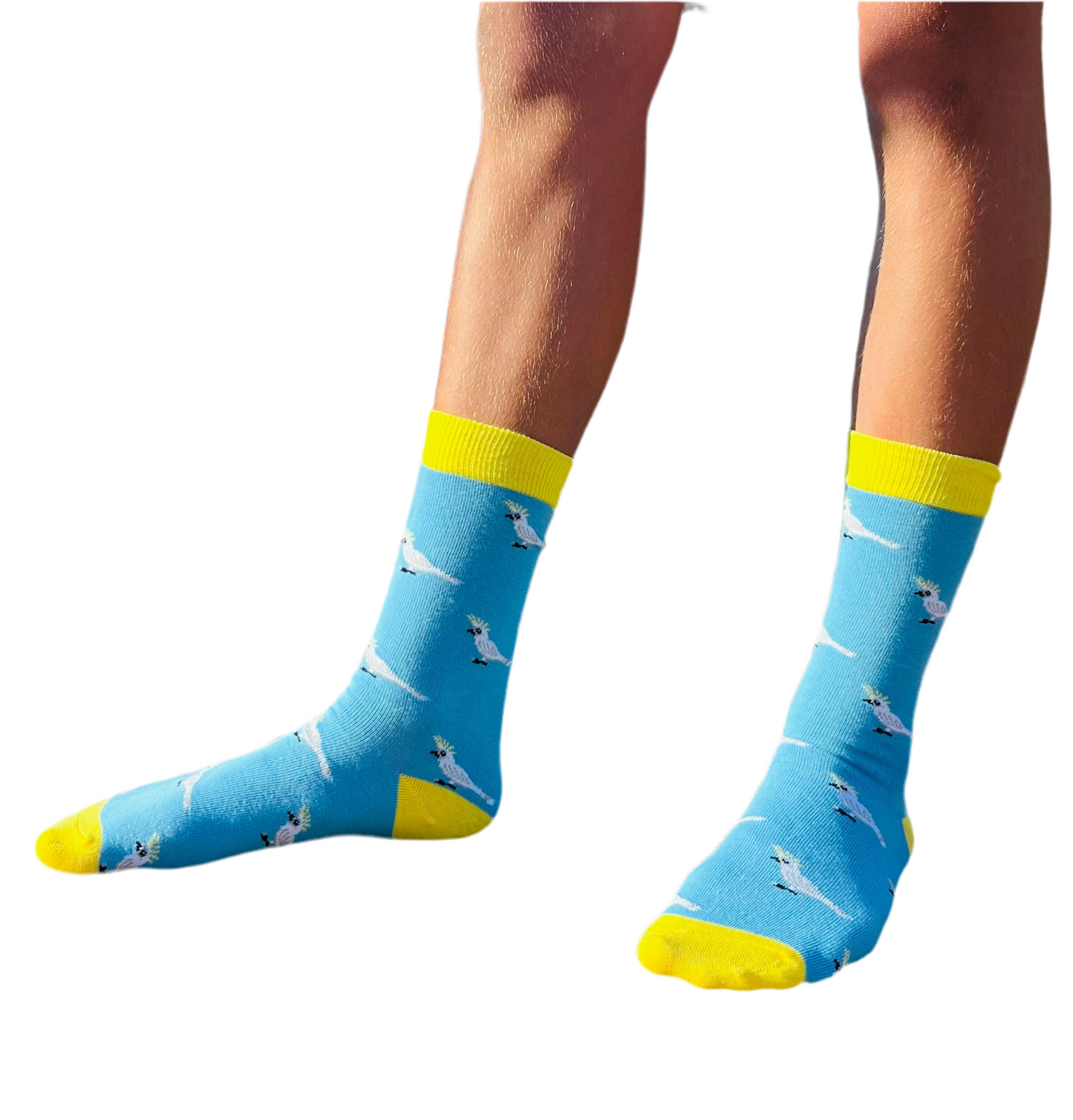 Cockatoo Socks