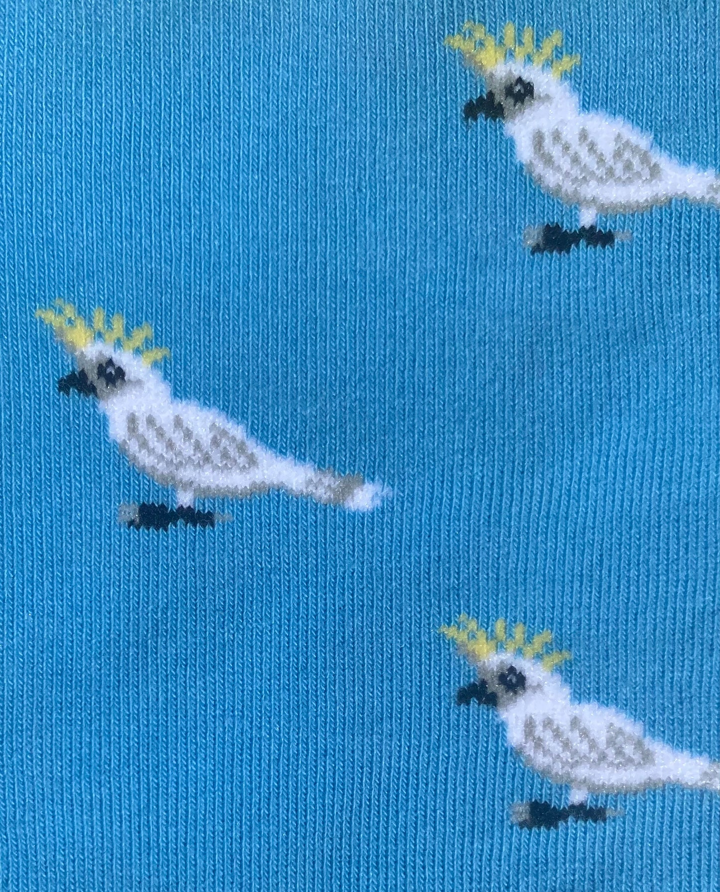 Cockatoo Socks