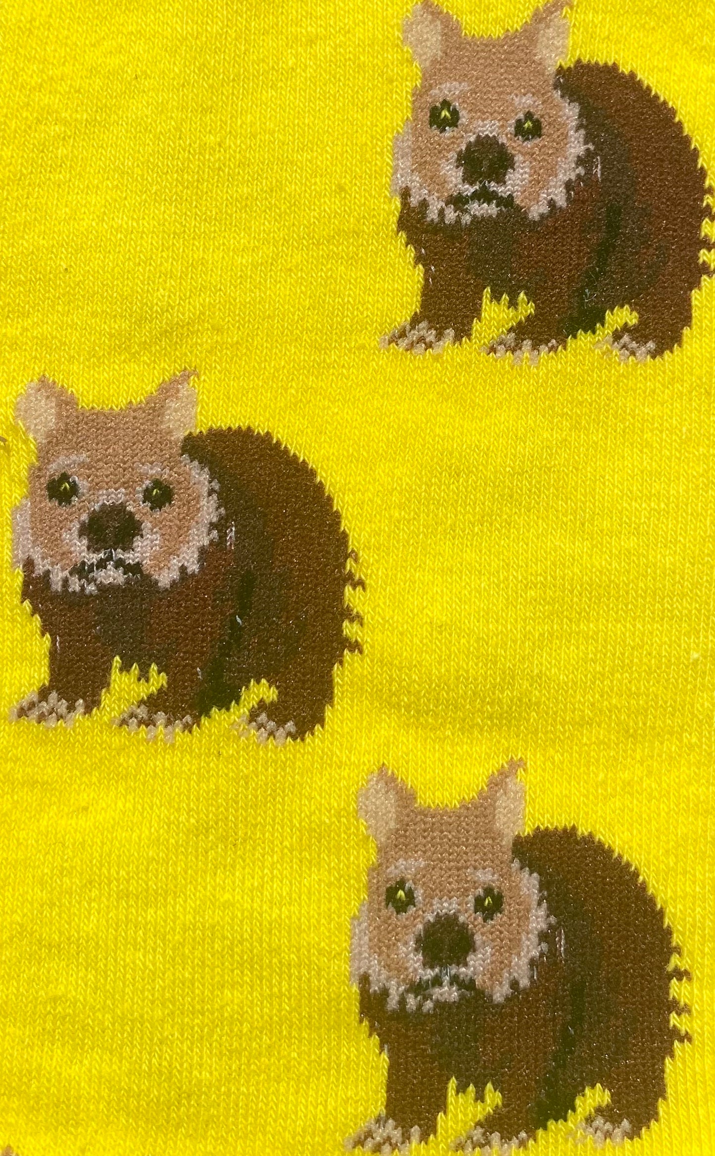 Wombat Socks