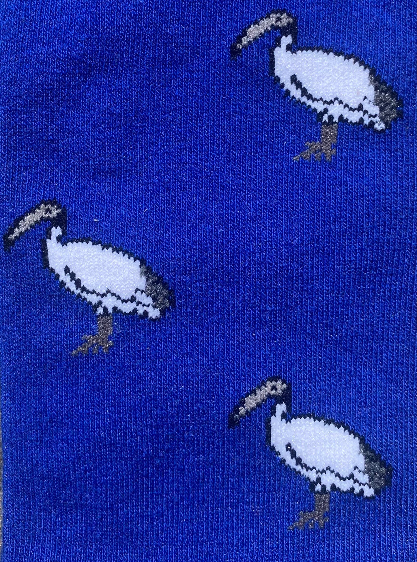 Ultimate Aussie 7-Pack