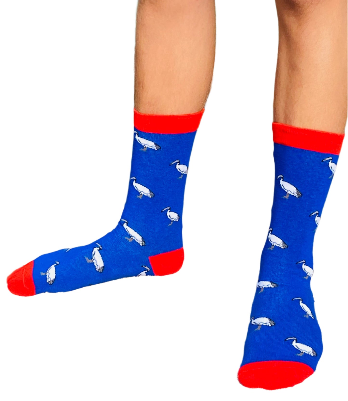 Bin Chicken Socks