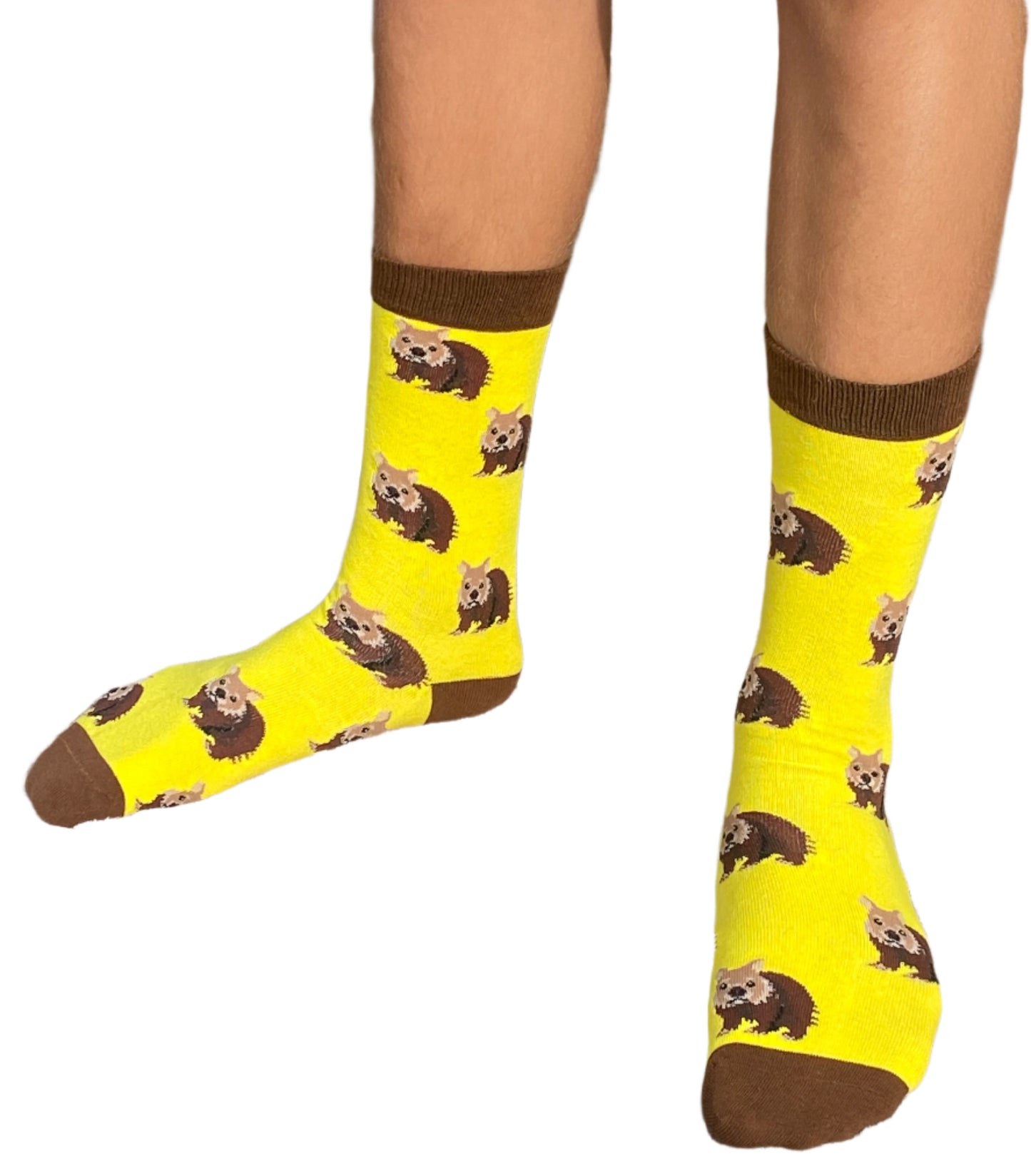 Iconic Aussie Marsupials Sock 3-Pack
